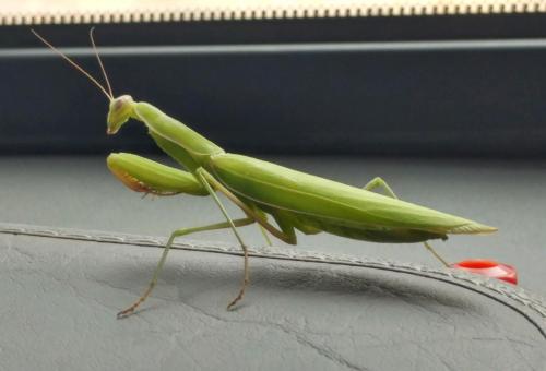 20210802_135312_HDR1~3