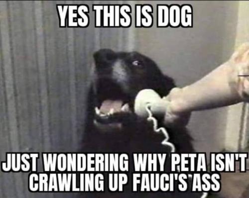 242034493_3154630128092166_4541944987931872921_n
