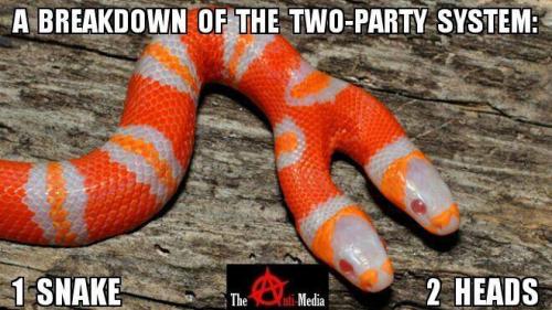 2 party political system