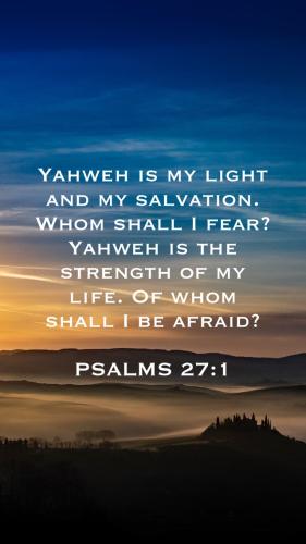 F87005F5-3AFE-439B-AEB1-73D7F0B0B242