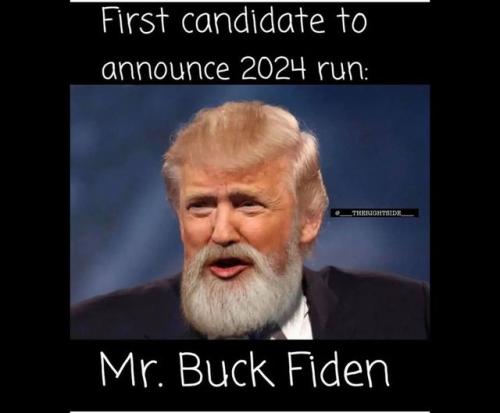 Mr Buck Fiden