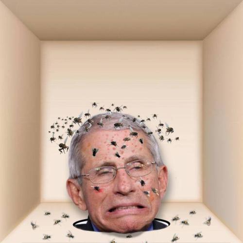 image_1635271079.344