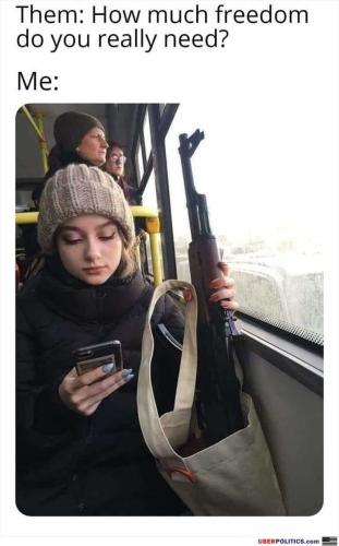 GunControl70