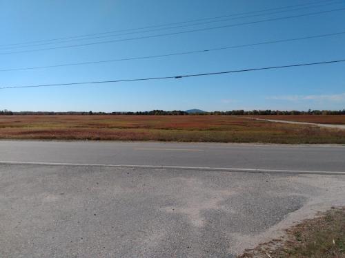 IMG_20211011_114322349