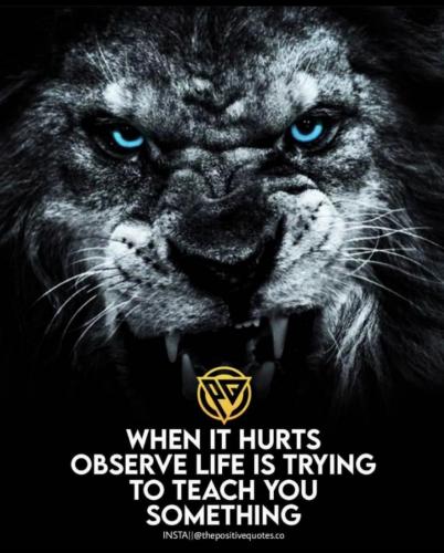 11C296B4-8751-4BF3-85F0-0F4C03B96DFC