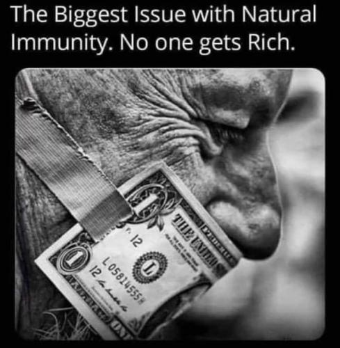 FB_IMG_1635309837563