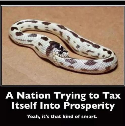 image_1635061510.638