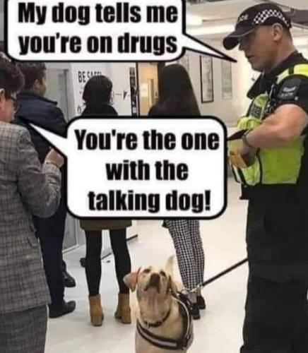 7668571622397bb03622667dcfb510f6_1024