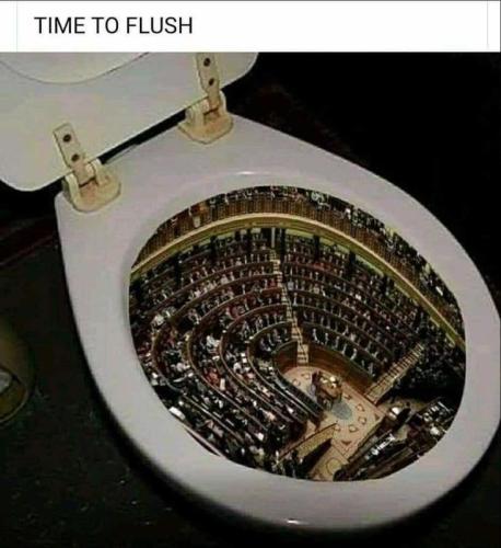 time to flush
