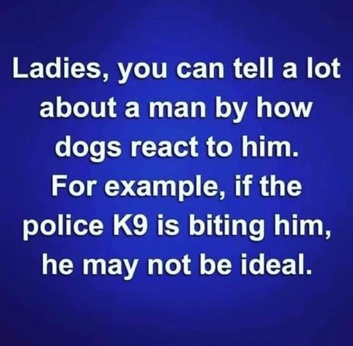 244700834_411769586979142_580752191205769528_n