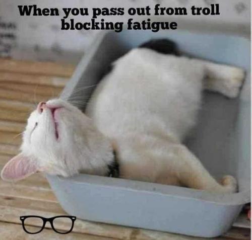 CVV8pKKrbVVZ3EupDusO_29_b075599abdd049c763e6f4cf24e64208_image