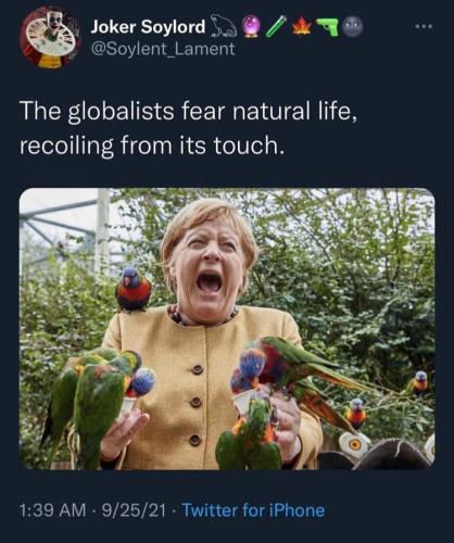 95927AD1-A6DE-4465-B7F2-BE673AABC8D7