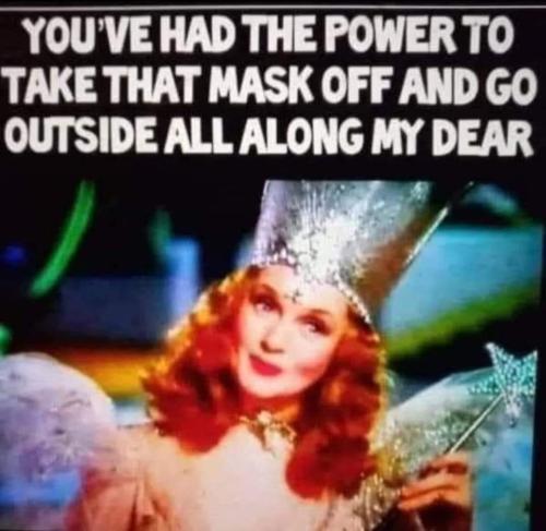 FB_IMG_1633830257642