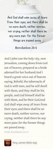 4C4DA90B-C359-4CBE-A3D4-8B2B5C7C6DD6