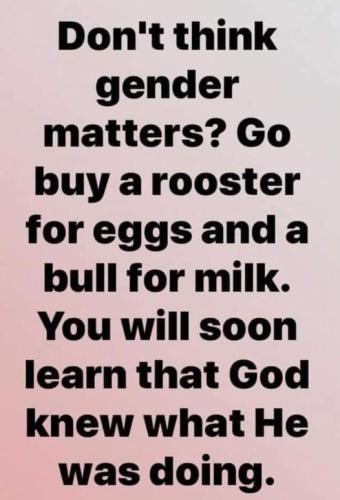 Gender