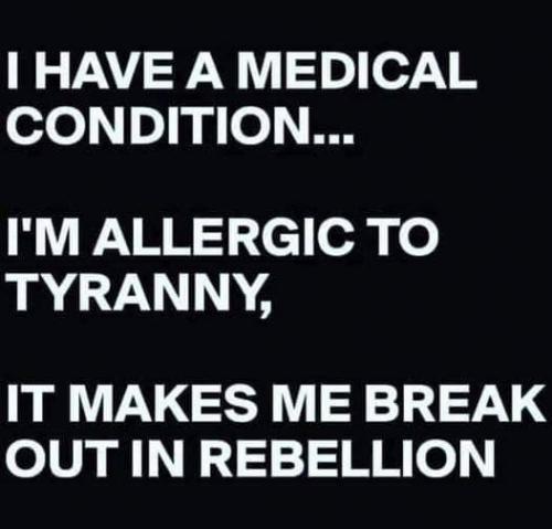 photo_2021-10-04_05-21-37