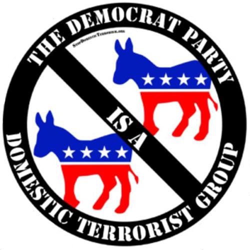 Dem domestic terrorist