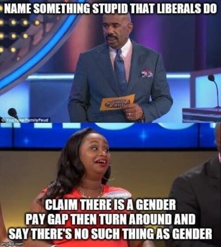 Some things that libtards do