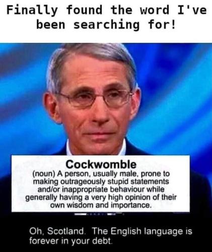 M word