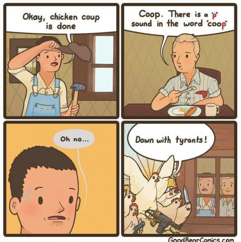 chicken-coup