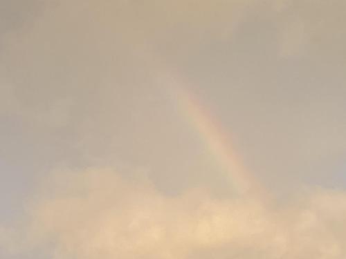 74EDB1C2-4152-4DC3-BADA-ACEDED2F4F77