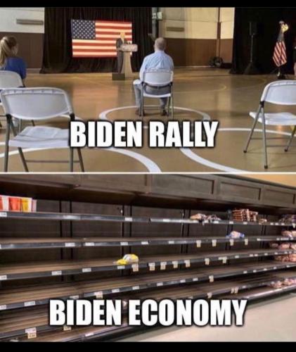 image_1634641247.361