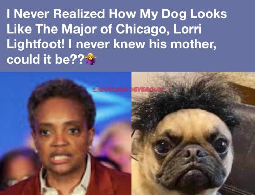 269B70FF-D02B-4BAF-AE59-99CED9137516