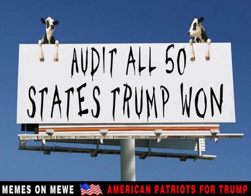 audit all 50