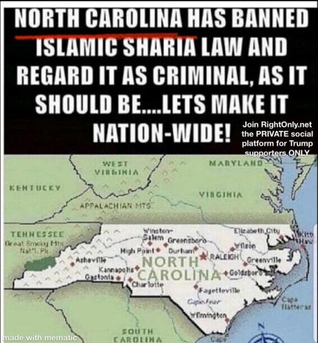 image_1634819919.011