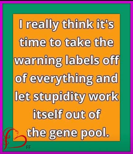 40ca0f7a888f2d84ff624dbf6c16808f_500x0