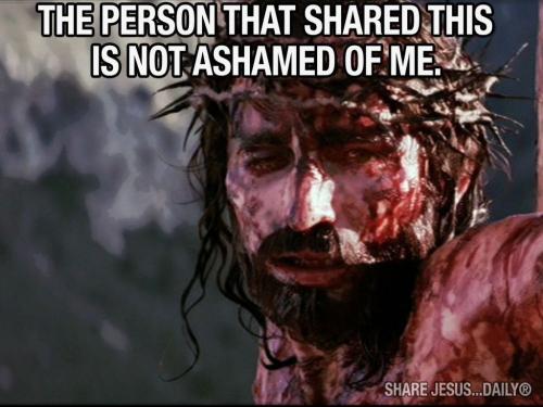 FA4FC27D-8D85-49DA-A636-0F8BB23745B4