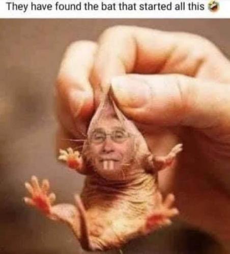 4D137F66-A1F3-47E5-B181-702A638C5801