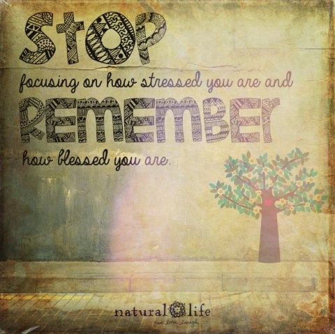 BB844EC5-7D4E-4CAC-86AA-42BBE706F032