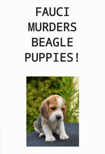 Screenshot_20211023-194412_S Note