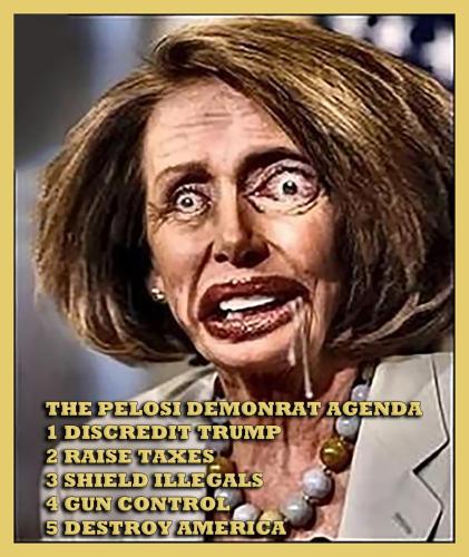 1-1-A-A-A-A-A-A-A-PELOSI-DRUNK-MENTAL-PROBLEM-2