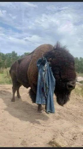 117641702_313963493155680_1218939514855030541_n - Copy