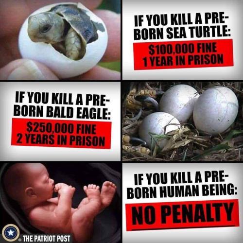 474BDE28-FB5A-44A1-AE7A-8A7F10816503