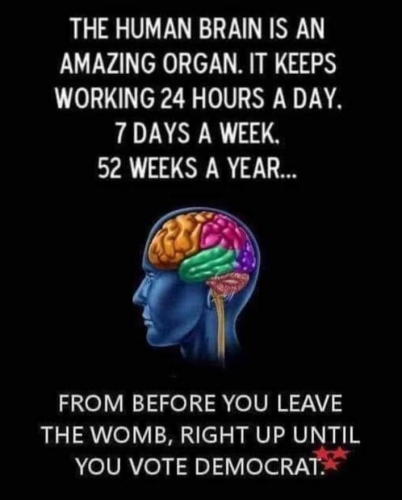 M Brain