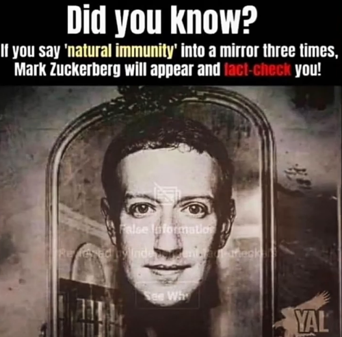 Screenshot_20211026-025859~2