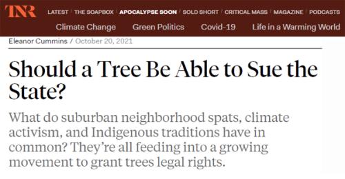 Tree_sues_state
