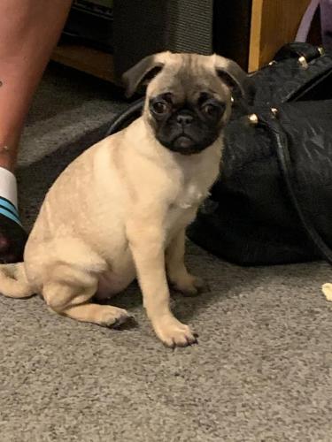 242785145_10223881296532017_8291172233137199699_n