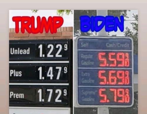 image_1635274478.998