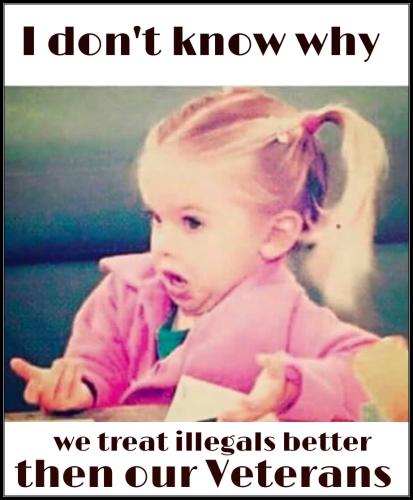 12108280_1065041240207374_2382780948532331983_nt