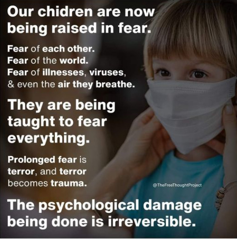 image_1635061549.128