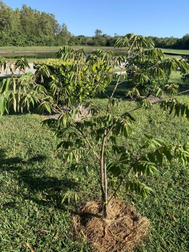 564EBBD1-C934-4E0B-9023-701857FEE367