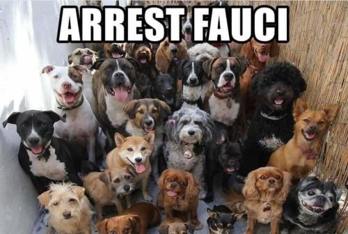 img - 2021-10-24T131538.398