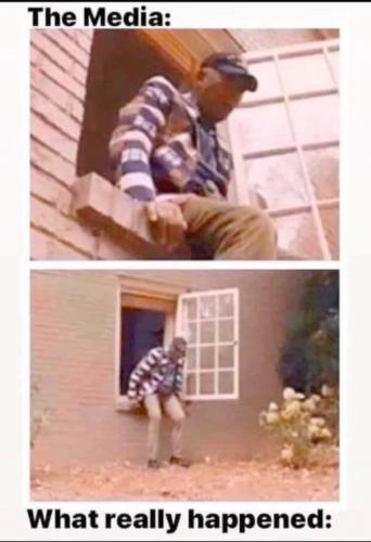 9FAE42ED-AE4D-4D7E-B680-B1A69C4FA415