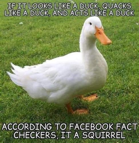 FB_IMG_1634673603588