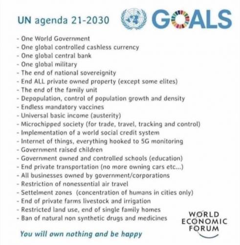 UN agenda 21 2030 agenda 97814234019238505