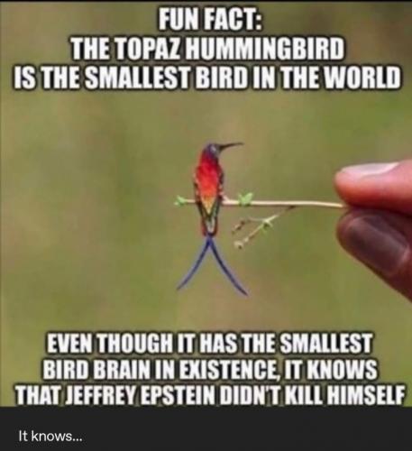 Screenshot_20211006-050349_Tumblr